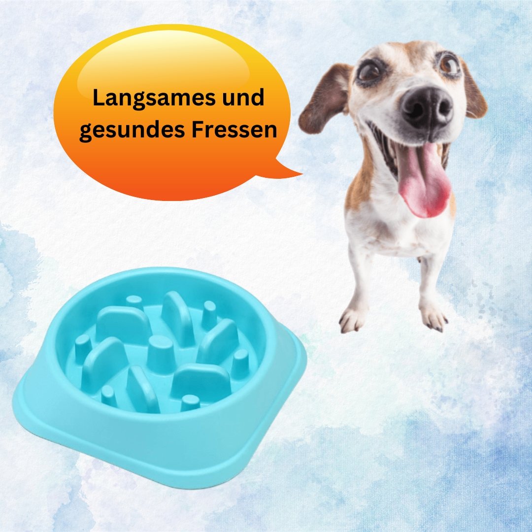 Anti-Gulping Bowl | Dog Bowl - Slows Down Eating