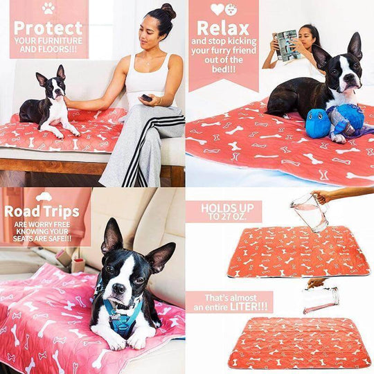 Reusable and Eco-Friendly Dog Mat