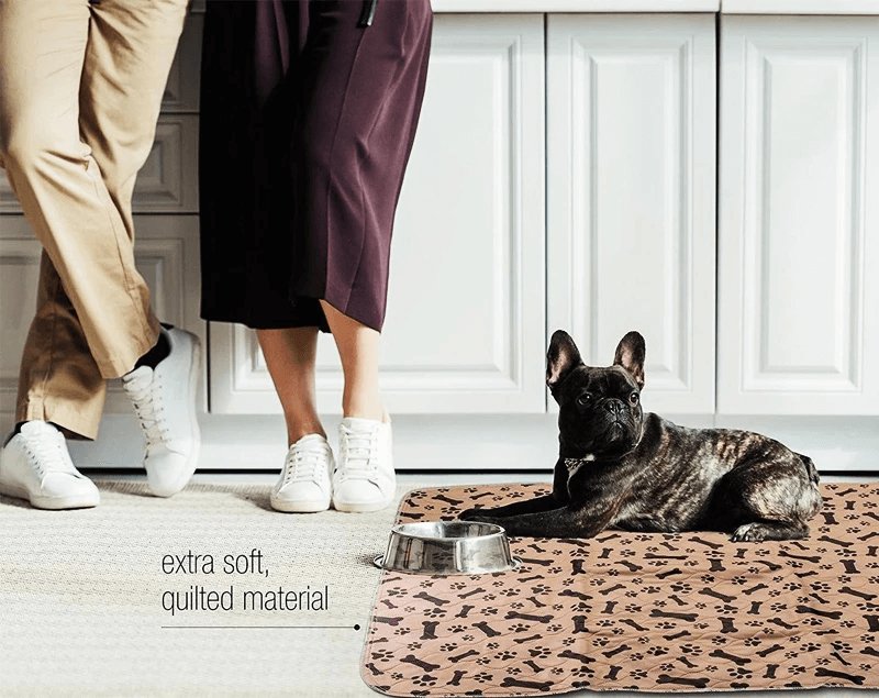 Reusable and Eco-Friendly Dog Mat