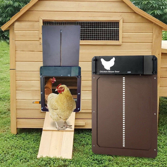 Poultry PRO+ | Automatic Chicken Coop - Convenient Care for Happy, Healthy Chickens