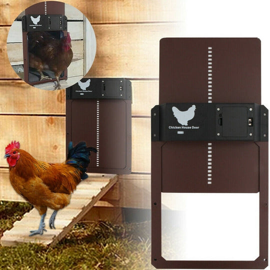 Poultry PRO+ | Automatic Chicken Coop - Convenient Care for Happy, Healthy Chickens