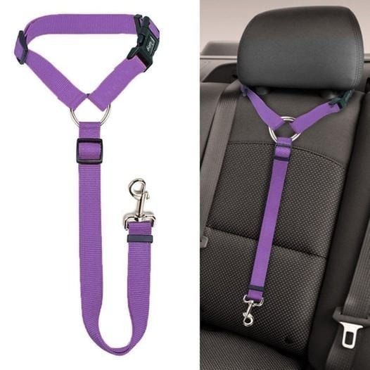 Buy 1 Get 1 Free! FlexStrap™ – Adjustable Dog Collar for Secure Car Travel