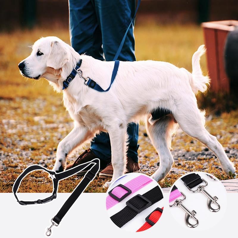 Buy 1 Get 1 Free! FlexStrap™ – Adjustable Dog Collar for Secure Car Travel