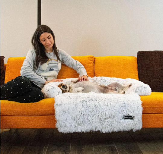 PurrPad - Cozy Dog Bed for Your Sofa | Comfortable and Soft