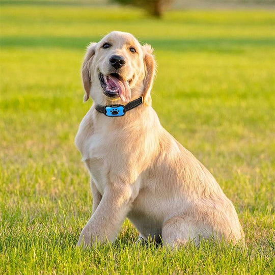 GentleDog™ | Anti-Bark Collar - Train Your Dog Gently