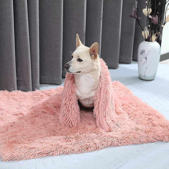 Dog Blanket | Dog Accessory - Warm and Cozy