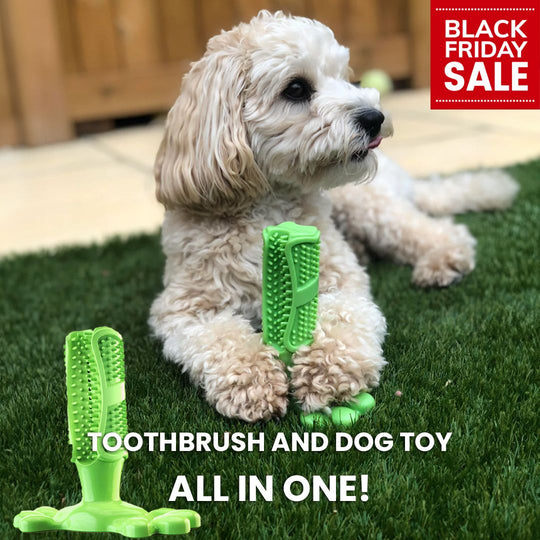 BlissTeeth™ | Dog Toy and Toothbrush in One | Dog Toy - Cleans and Entertains