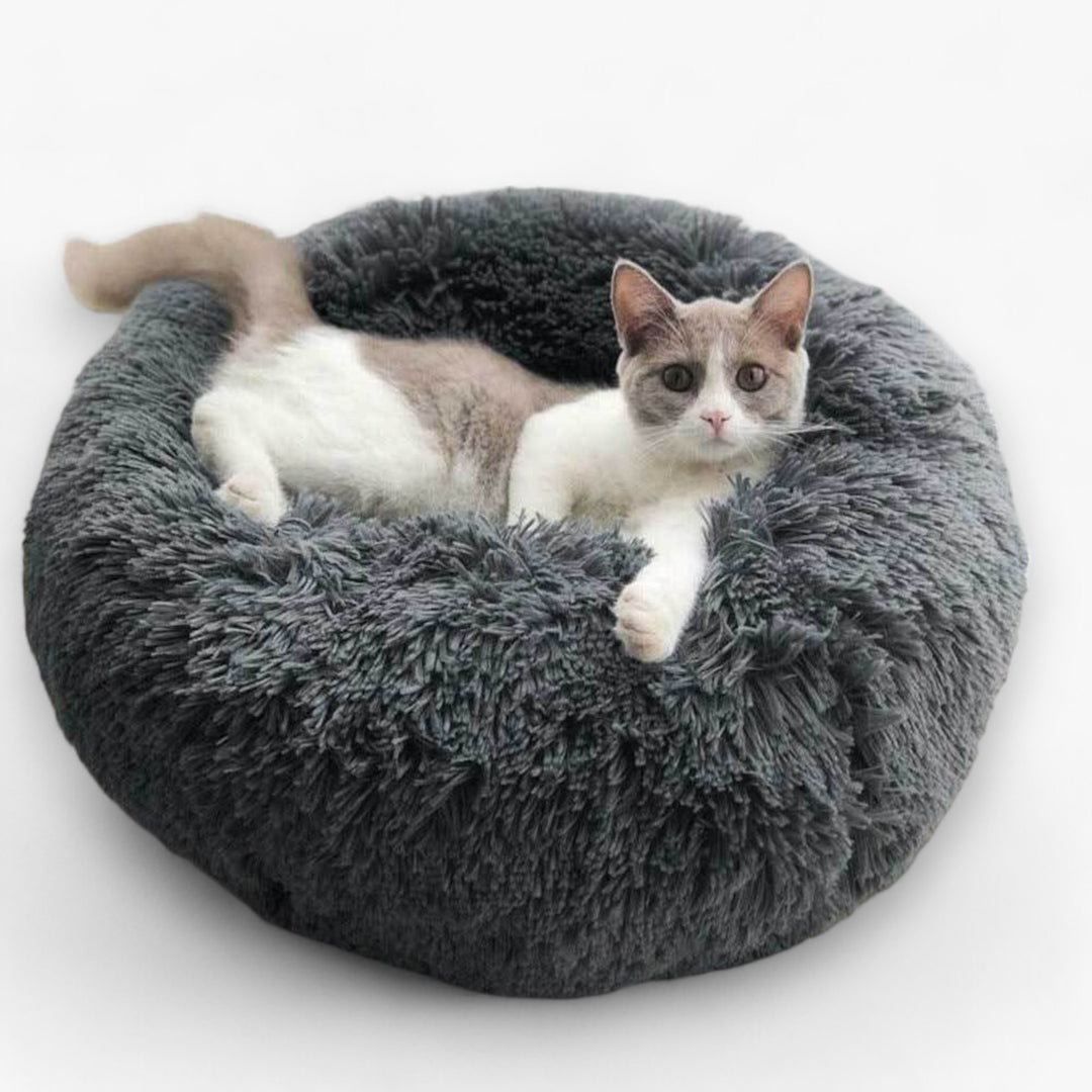 Luxury Bed for Cats - Original Design for Your Cat