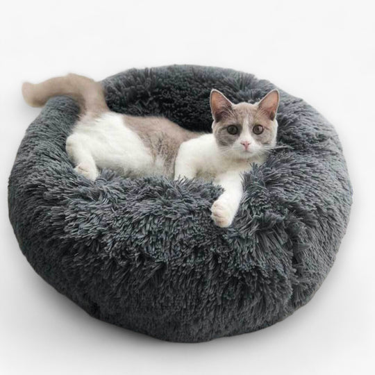 Luxury Bed for Cats - Original Design for Your Cat