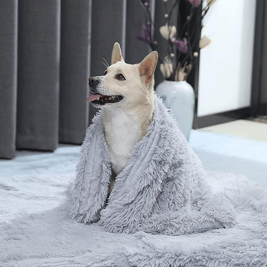 Dog Blanket | Dog Accessory - Warm and Cozy