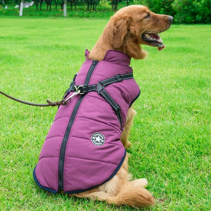 Dog Jacket | Waterproof and Warm - Essential Protection in Winter