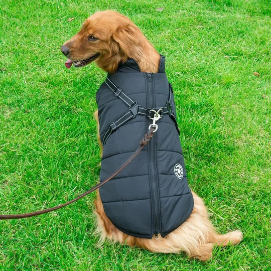 Dog Jacket | Waterproof and Warm - Essential Protection in Winter