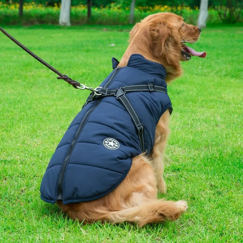 Dog Jacket | Waterproof and Warm - Essential Protection in Winter