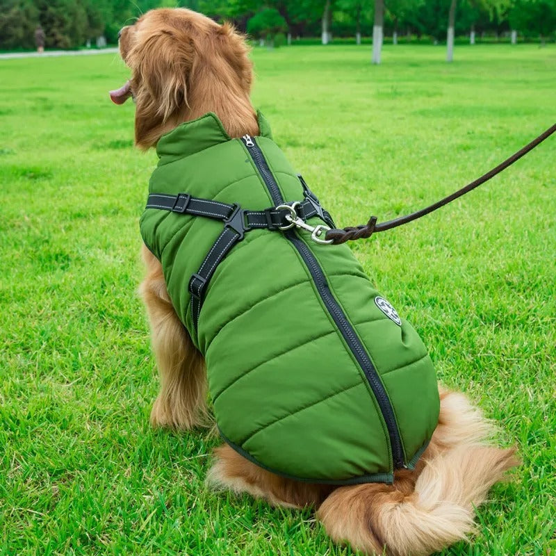 Dog Jacket | Waterproof and Warm - Essential Protection in Winter