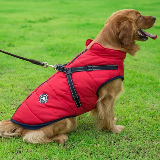 Dog Jacket | Waterproof and Warm - Essential Protection in Winter