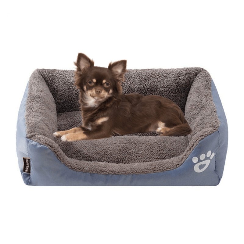 Dog Bed with Paw Print | Small to Medium Dogs - Comfortable and Cute