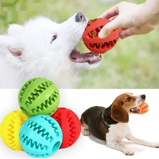 Rubber Toy | Dog Toy - Bouncing and Fun