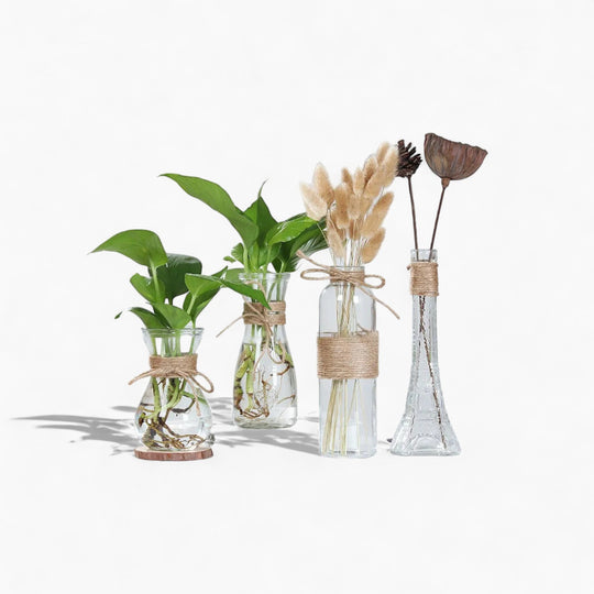 Elegant and minimalist high-quality clear glass vase - ideal for flowers and hydroponic plants, perfect as stylish table decor!