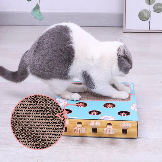 ClawCraze™ | Interactive Toy for Kittens - Stimulates Play