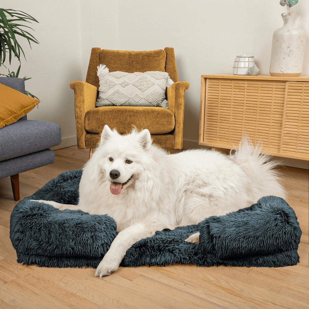 Dream Cushion for Dogs - DoggyDream™