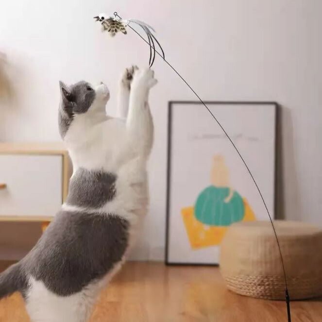 Interactive "Bird" Toy | Cat Toy - Stimulates Cats during Play