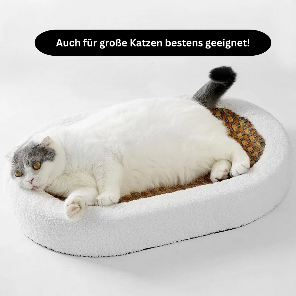 Premium Cat Bed with Scratching Plate | Cat Bed - Dual Function for Comfort and Play