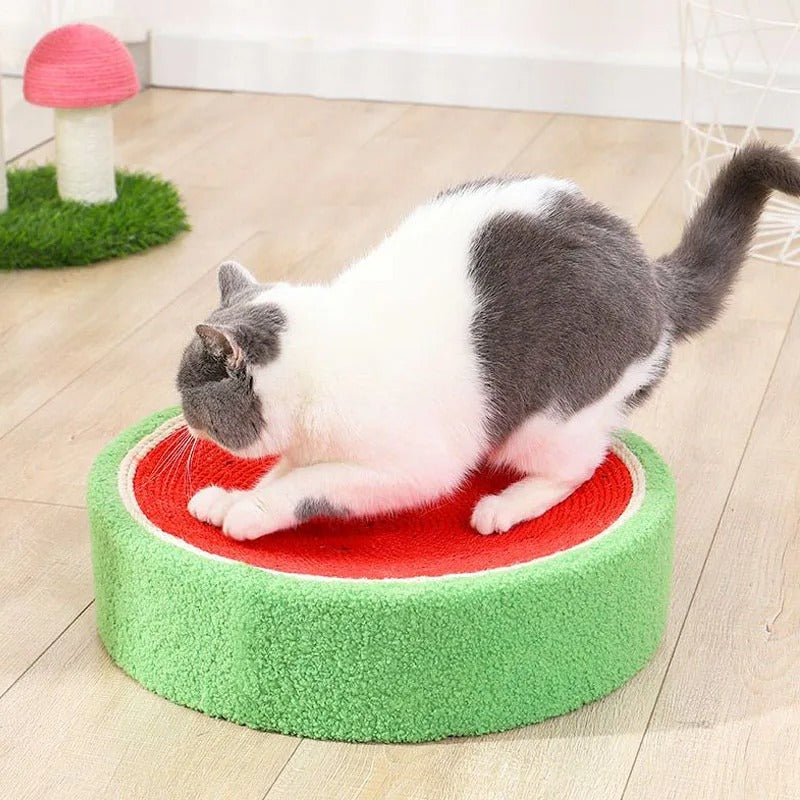 Sisal Scratching Bed for Cats | Cat Bed - Scratch Resistant