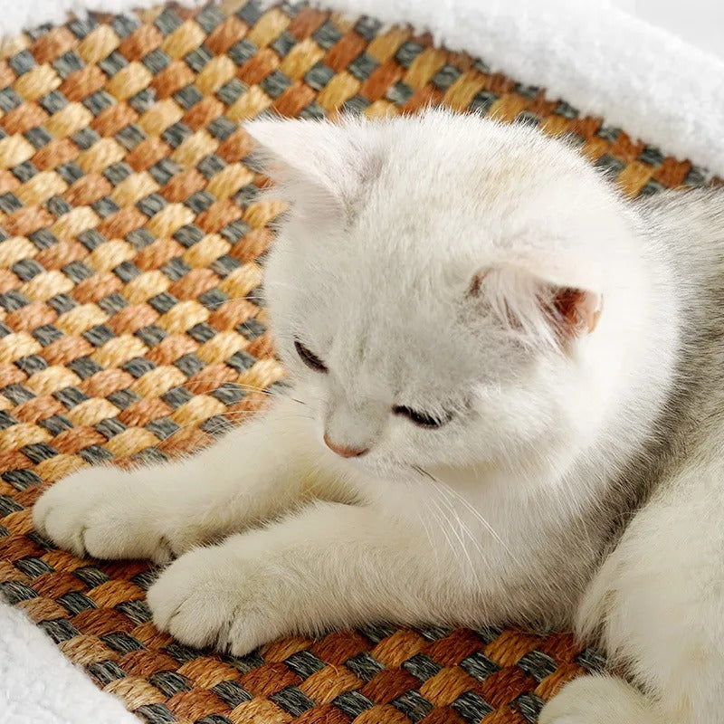 Premium Cat Bed with Scratching Plate | Cat Bed - Dual Function for Comfort and Play