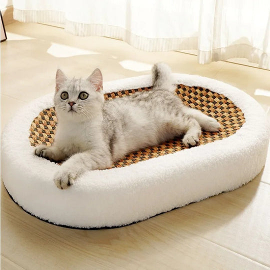 Premium Cat Bed with Scratching Plate | Cat Bed - Dual Function for Comfort and Play