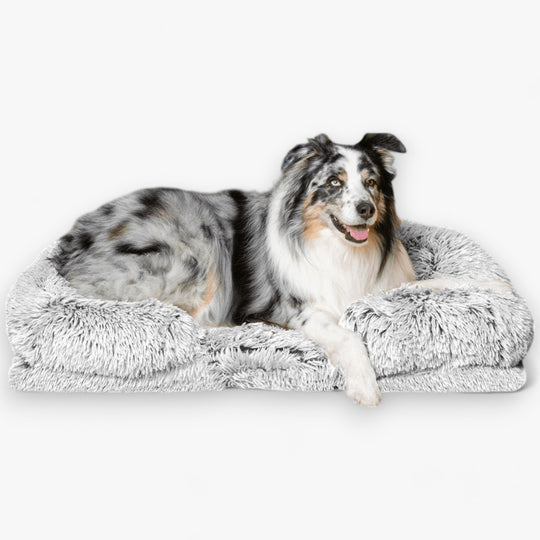 Dream Cushion for Dogs - DoggyDream™