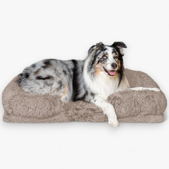 Dream Cushion for Dogs - DoggyDream™