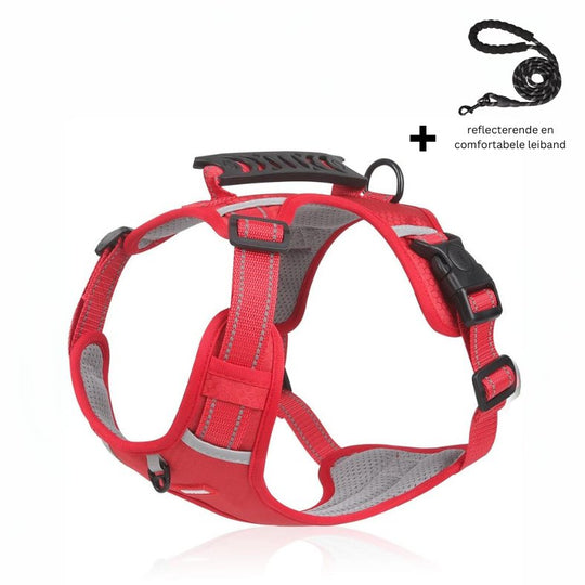 PawEase non-stick dog leash for ultimate comfort