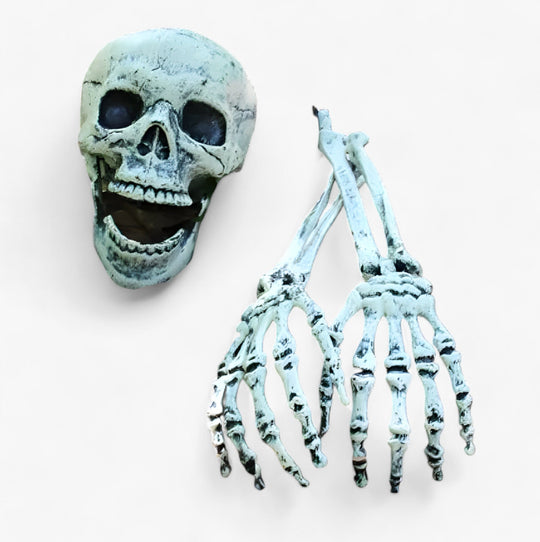 Edgar | Scary Halloween Decoration - Skeleton, Bones and Human Skull for Terrifying Party