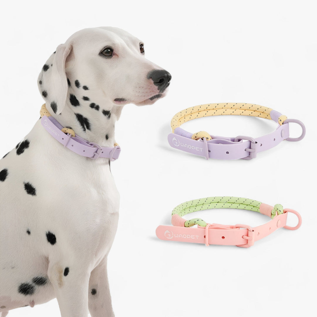 Chic Collars for Dogs | Attractive Set in Durable PVC - Perfect for Four-Legged Companions!