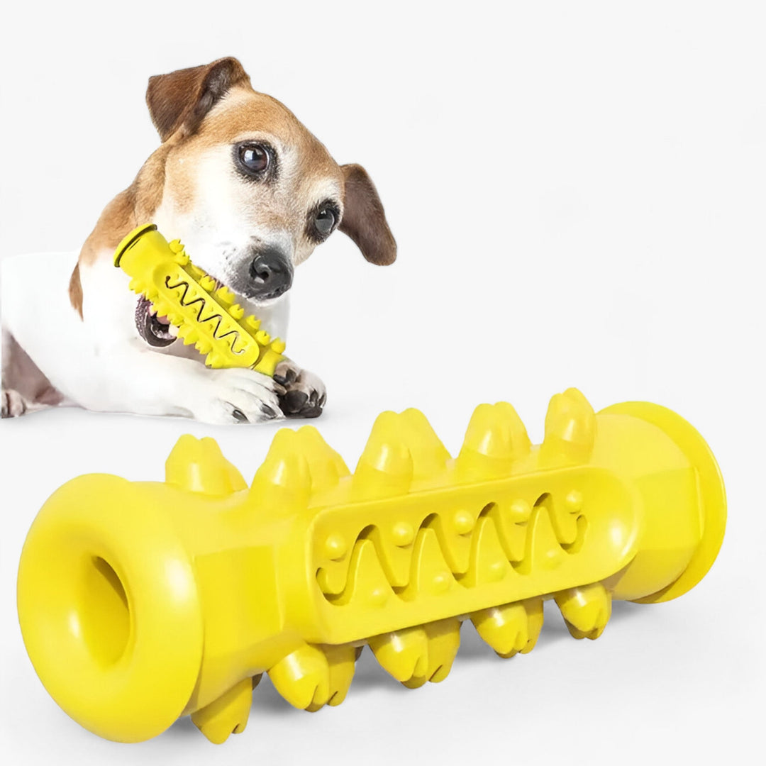 Rocky | Rubber Chew Toy - Cleans Teeth and Entertains Dogs