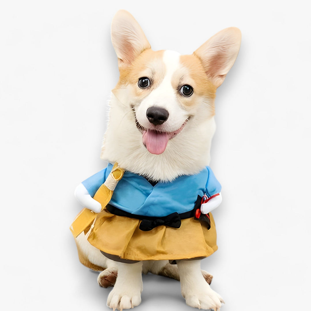 Paw-some | Pet Costume - Pet Cosplay Costume