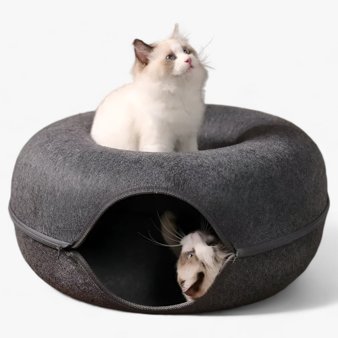 Light-Up Donut Toy Chest for Cats with Tunnel | 2-in-1 Concept - Perfect for Fun and Relaxation