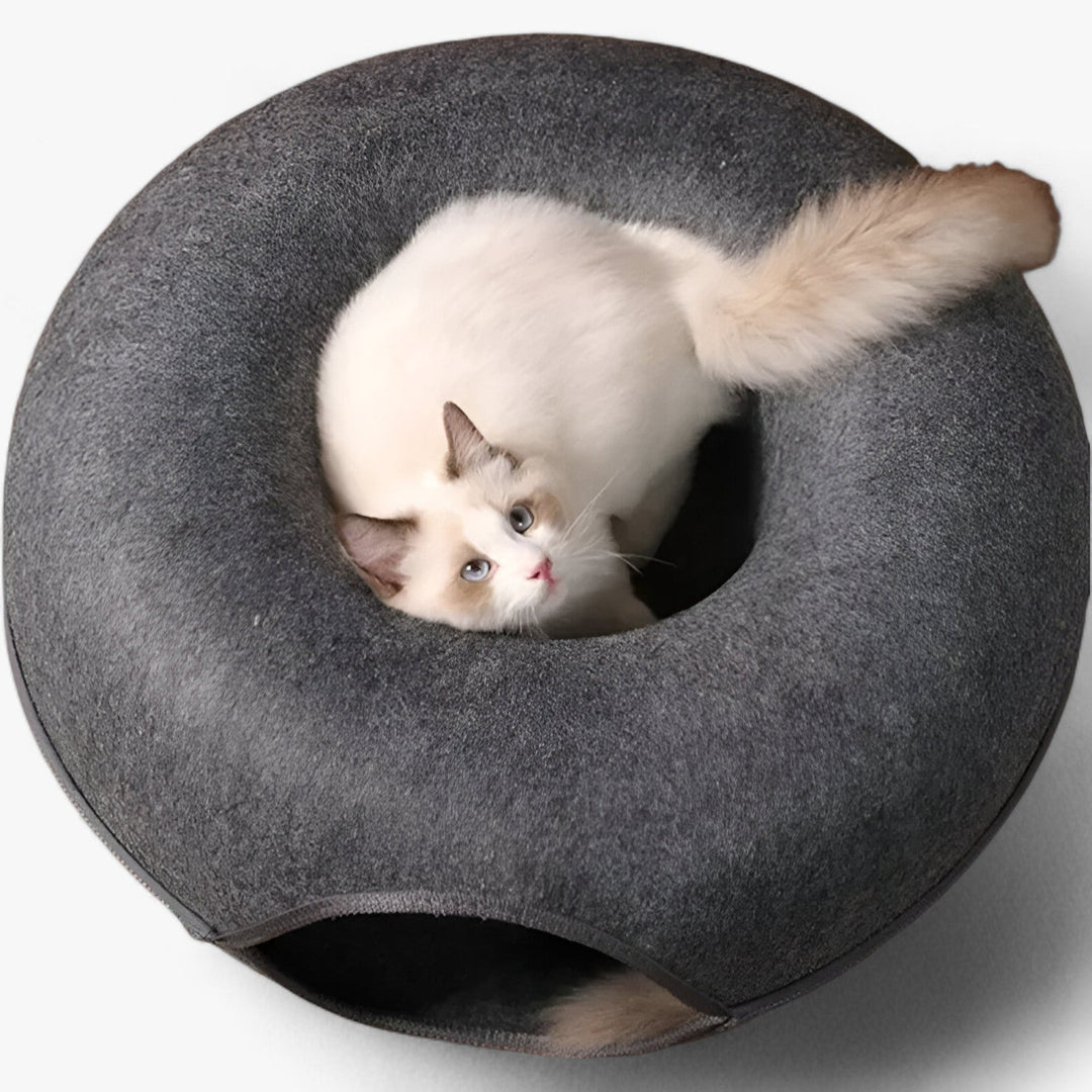 Light-Up Donut Toy Chest for Cats with Tunnel | 2-in-1 Concept - Perfect for Fun and Relaxation