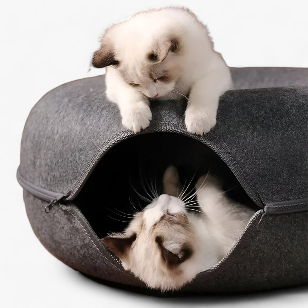 Light-Up Donut Toy Chest for Cats with Tunnel | 2-in-1 Concept - Perfect for Fun and Relaxation