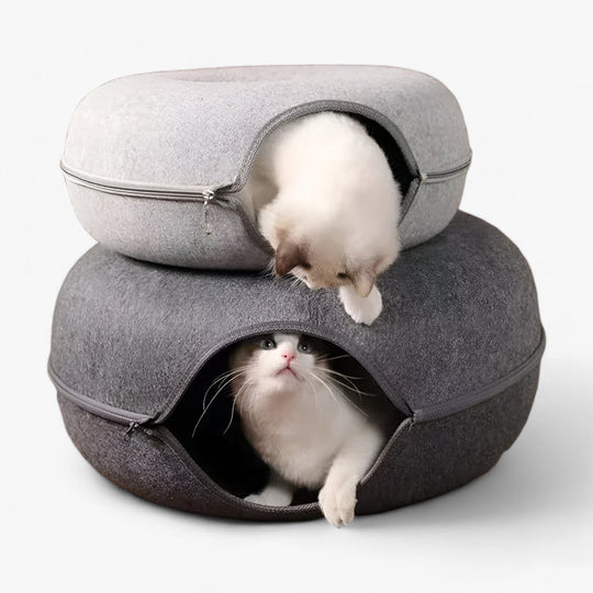 Light-Up Donut Toy Chest for Cats with Tunnel | 2-in-1 Concept - Perfect for Fun and Relaxation