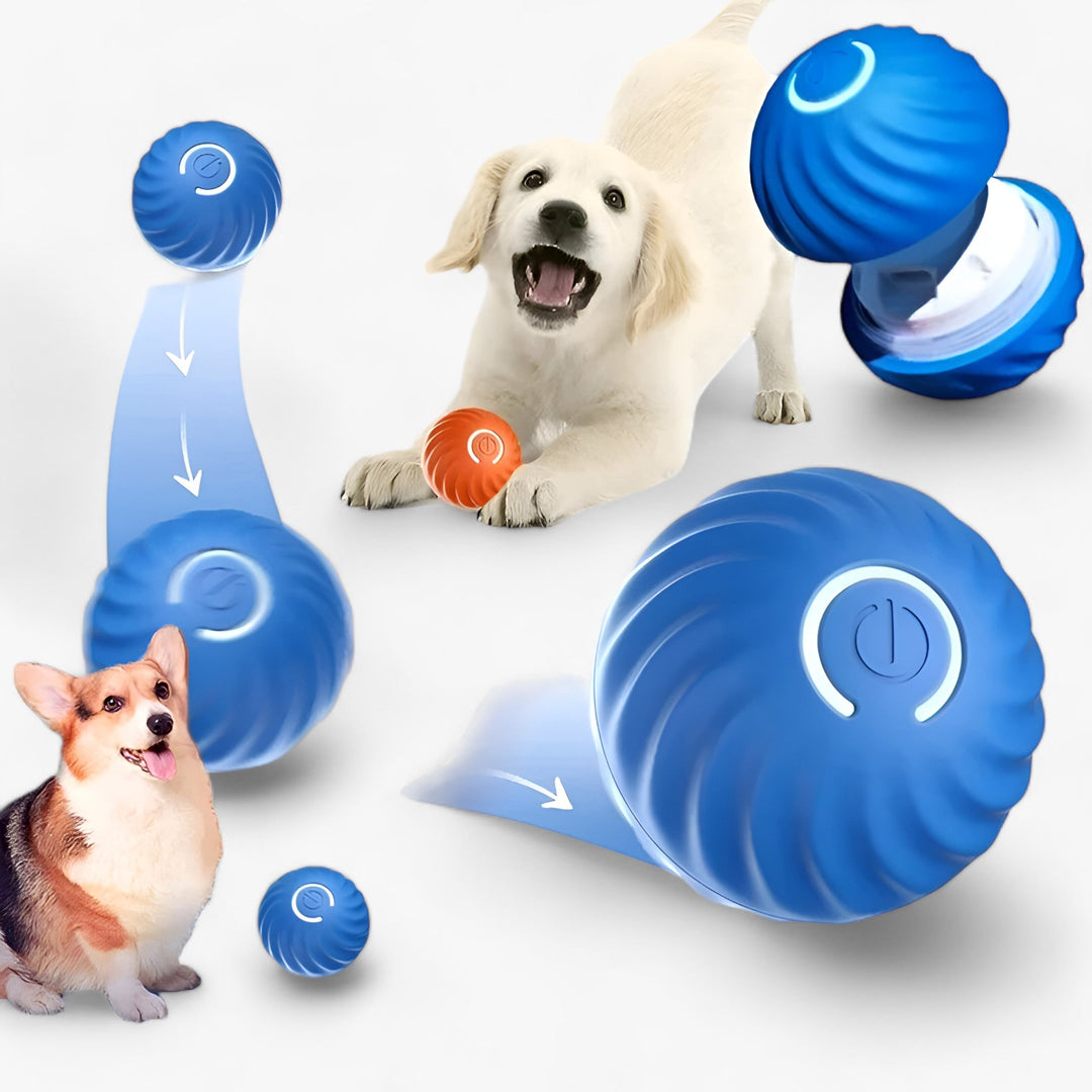 BOUNCY | Smart Dog Toy - Playful and Interactive for Lots of Fun