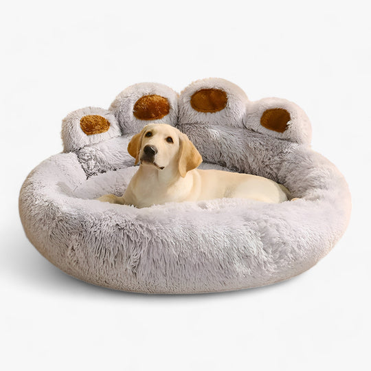 CozyPaws | Cozy Sofa for Pets - The Perfect Shelter for Dogs and Cats