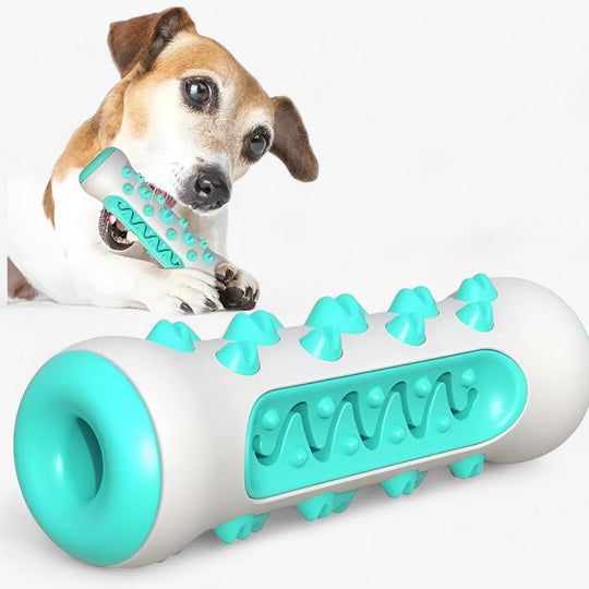 Rocky | Rubber Chew Toy - Cleans Teeth and Entertains Dogs