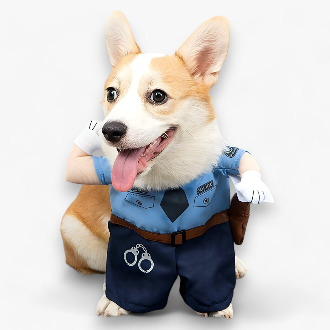 Paw-some | Pet Costume - Pet Cosplay Costume