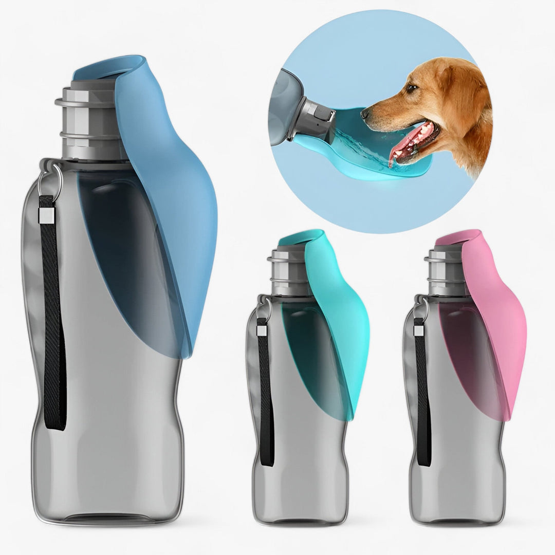 Bella | Portable Water Bottle for Dogs - Hydration on the Go for All Dogs