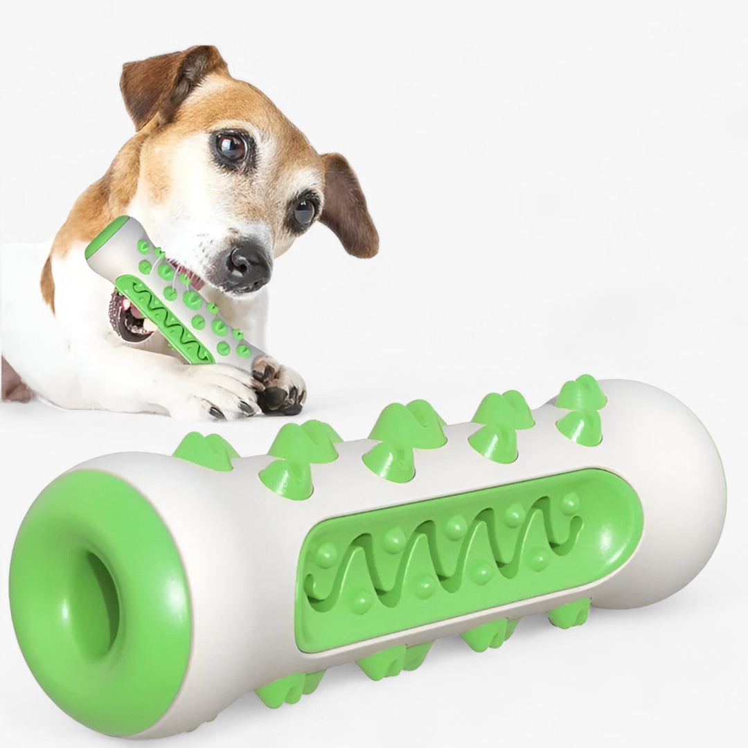 Rocky | Rubber Chew Toy - Cleans Teeth and Entertains Dogs