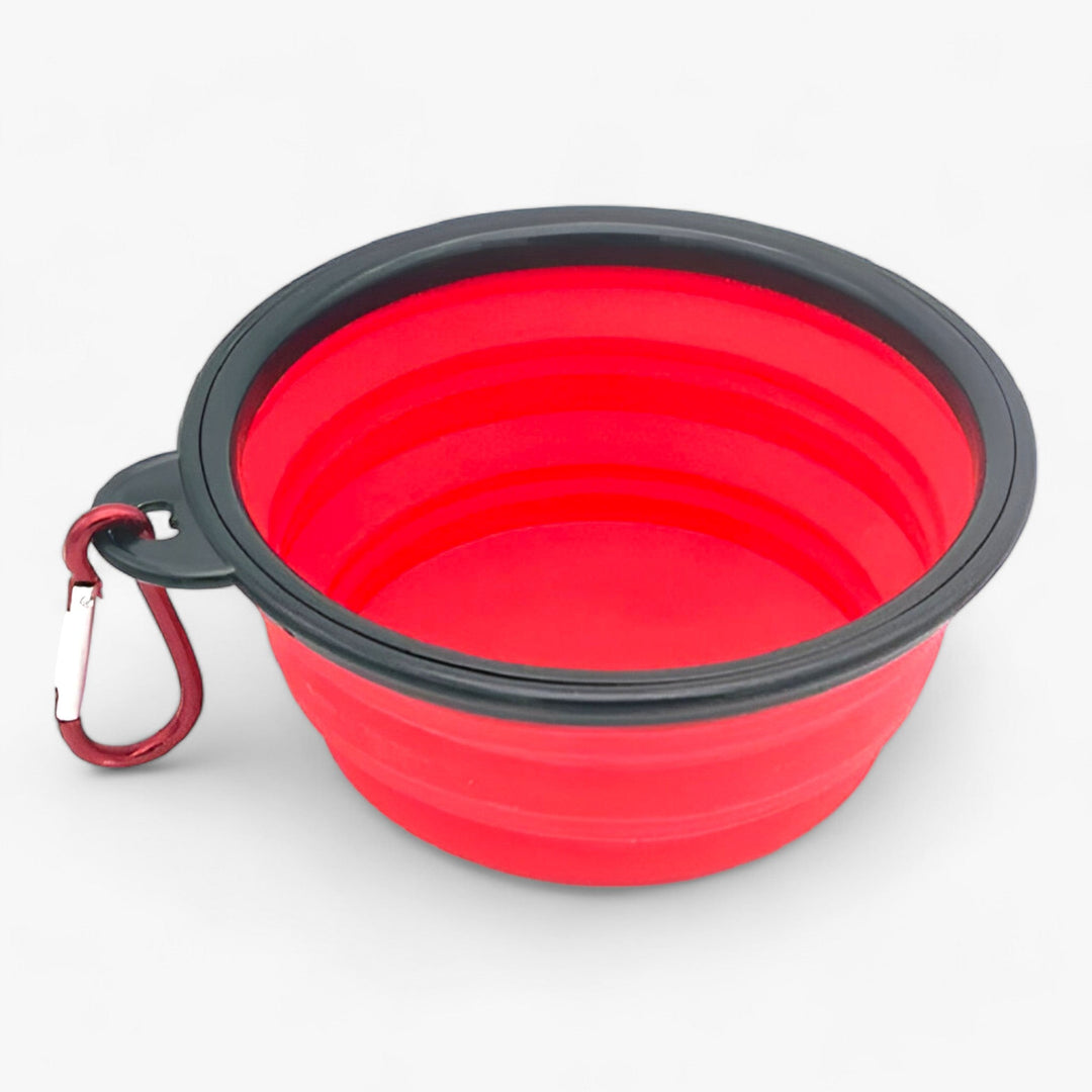 Max | Foldable Silicone Bowl for Dogs - Practical 2-in-1 Dispenser