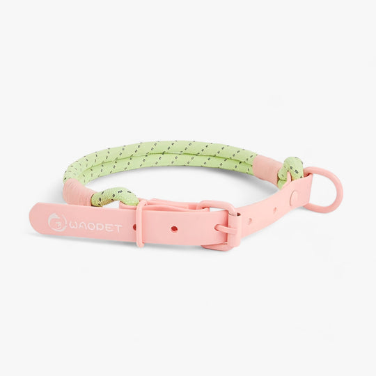 Chic Collars for Dogs | Attractive Set in Durable PVC - Perfect for Four-Legged Companions!