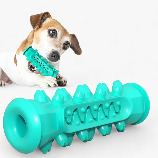 Rocky | Rubber Chew Toy - Cleans Teeth and Entertains Dogs