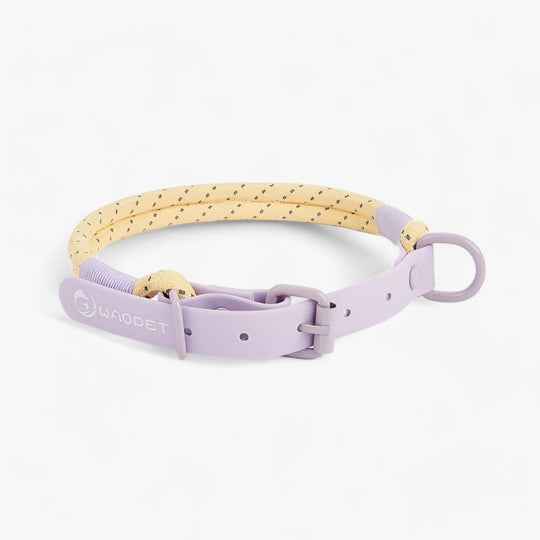 Chic Collars for Dogs | Attractive Set in Durable PVC - Perfect for Four-Legged Companions!